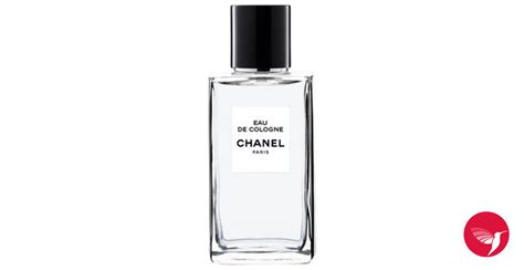 chanel feminino|Chanel cologne.